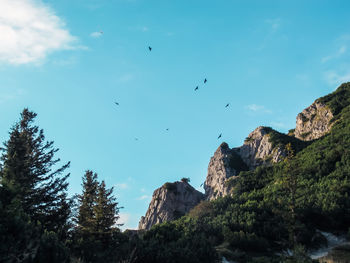 Low angle view of birds flying against sky