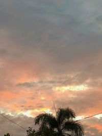 Low angle view of silhouette coconut palm tree against dramatic sky