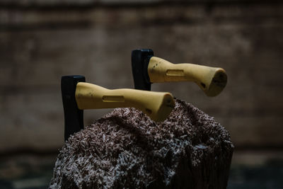 Close-up of water pipe on wood against wall