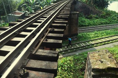 Railroad tracks amidst plants