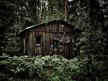 Abandoned house in forest