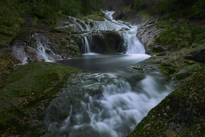 Scenic view of waterfall in forest