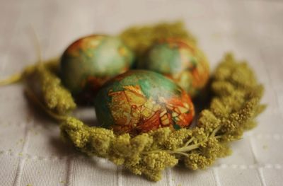 Close-up of eggs on table