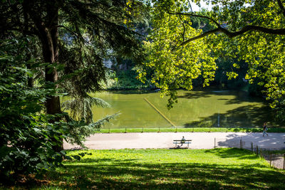 Scenic view of lake amidst trees