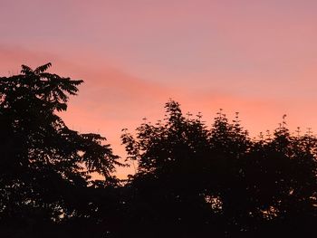 Low angle view of silhouette trees against sky during sunset