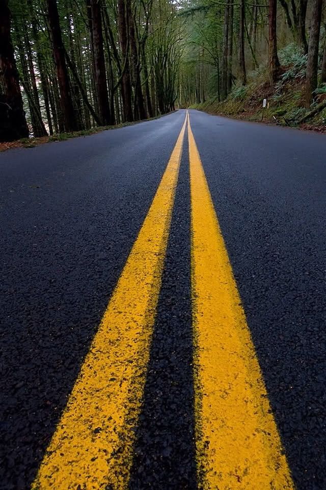 the way forward, diminishing perspective, transportation, vanishing point, tree, road, road marking, asphalt, empty road, double yellow line, yellow, dividing line, surface level, street, forest, country road, long, tranquility, day, empty