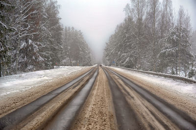 Empty road along trees during winter