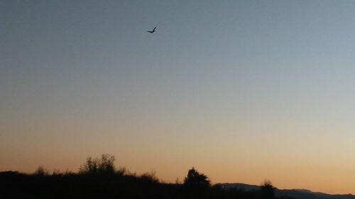 Low angle view of silhouette bird flying against clear sky