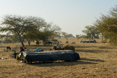 People on field against clear sky