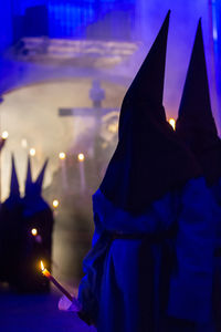 Rear view of people wearing costumes at night