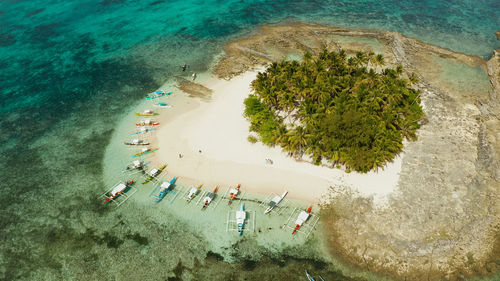 High angle view of plants on beach