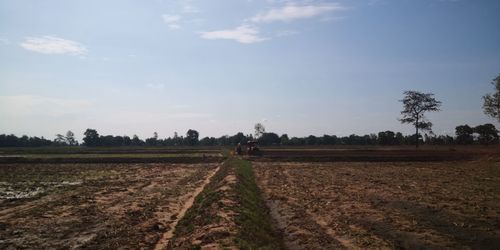 Scenic view of agricultural field against sky