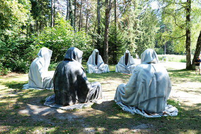 Rear view of man sitting on field in forest