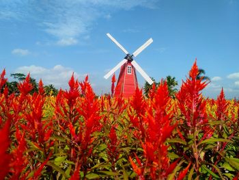 Low angle view of traditional windmill against sky