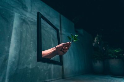 Close-up of hand holding leaf