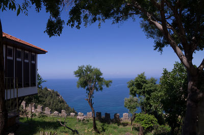 Trees and buildings against blue sky