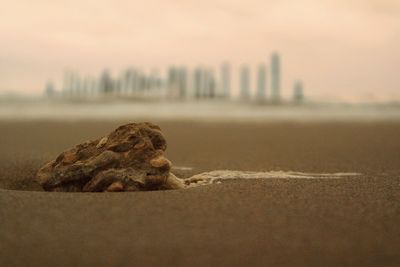 Surface level of sand on beach