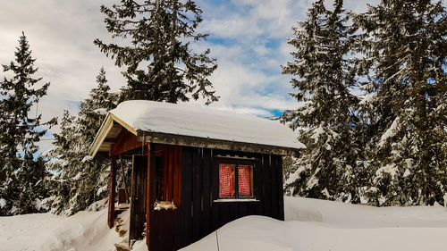 Snow covered houses and trees against sky