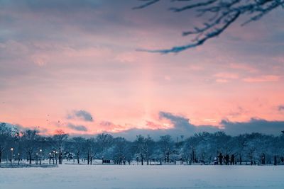 Trees on snow field against sky during sunset