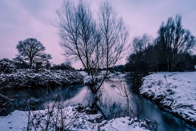 Bare trees by river against sky during winter