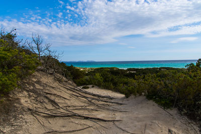 Scenic view of beach against sky