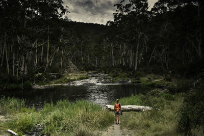 Rear view of man amidst trees in water