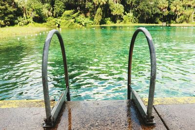 Swimming pool by trees