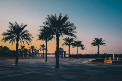 Silhouette palm trees by swimming pool against sky during sunset