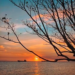 Scenic view of sea against orange sky