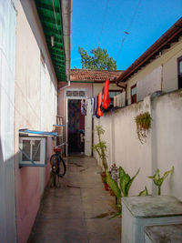 Potted plants outside building