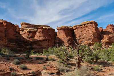 Landscape of red rock formations and desert greenery at canyonlands national park in utah