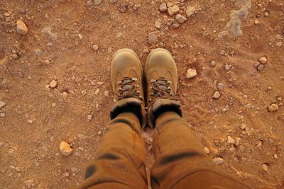 Low section of man wearing shoes while standing on land