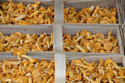 Full frame shot of mushrooms in containers for sale