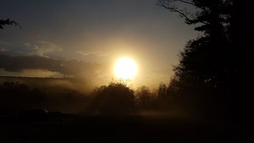 Silhouette trees against sky during sunset