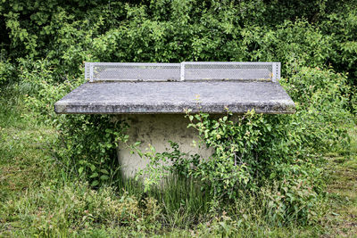 Bench on field