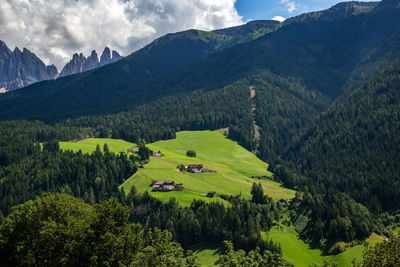 Scenic view of pine trees and mountains against sky