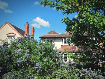 Trees growing by house against sky at rushden