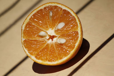 High angle view of lemon in plate on table