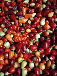 Full frame shot of tomatoes