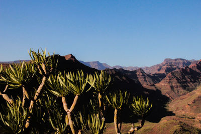 Scenic view of mountains against clear sky