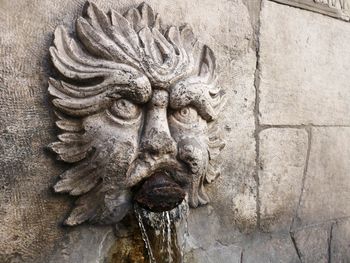 Close-up of animal sculpture on wall