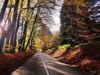 Road amidst trees in forest