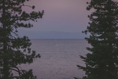 Scenic view of sea and trees against sky