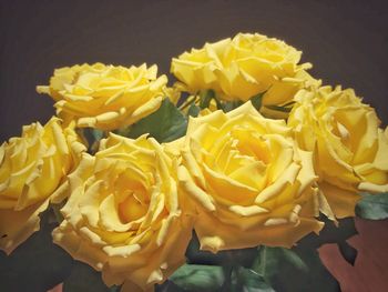 Close-up view of yellow flowers