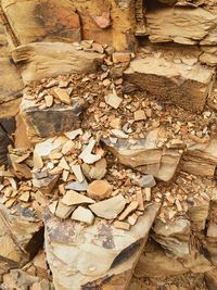 Close-up of stone wall