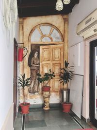 Potted plants on table by building