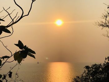 Silhouette tree by sea against sky during sunset
