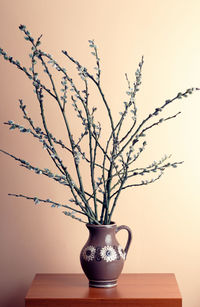 Close-up of potted plant on table