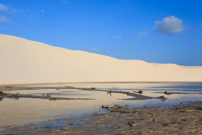 Scenic view of beach against blue sky