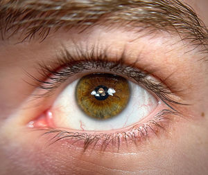 Close-up portrait of human eye